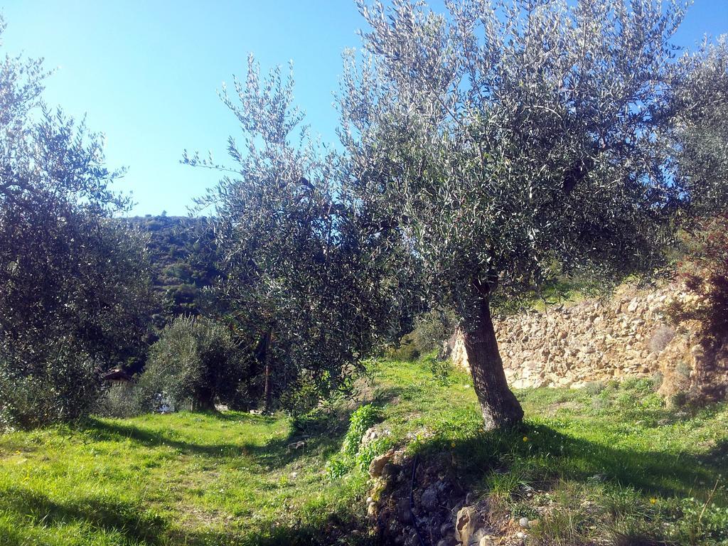 Agriturismo C'Era Una Volta Camporosso  Buitenkant foto
