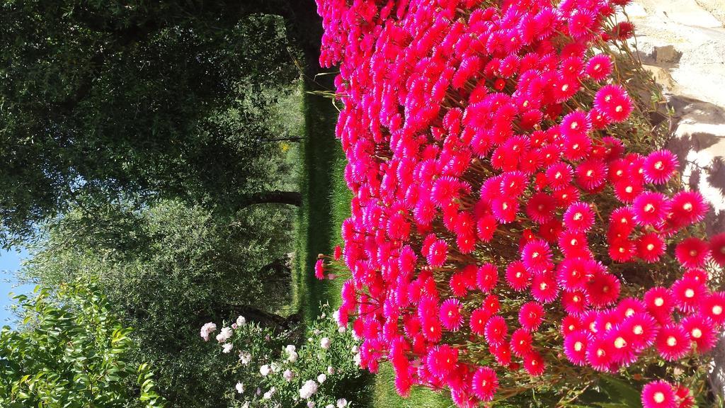 Agriturismo C'Era Una Volta Camporosso  Buitenkant foto